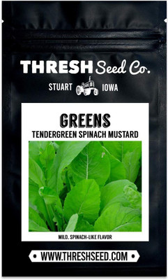Qualtivate RES-1A Tendergreen Spinach Mustard Seed(300 per packet)
