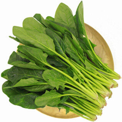 LPR SPINACH , PALAKH Seed(1250 per packet)