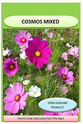 CYBEXIS Cosmos Mix Flower Seeds (Purple and White) Seed(1 g)