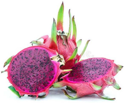 Oliver imported@ hybrid dragon fruit seed Seed(110 per packet)