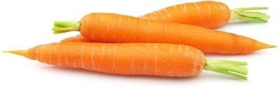 Quentova विलायती गाजर Orange Carrot-2A-NST Seed(300 per packet)