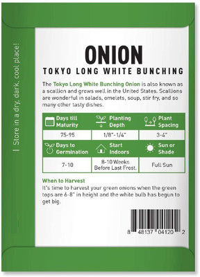 CYBEXIS PAU-96 - Green Onion for Planting - (4500 Seeds) Seed(4500 per packet)