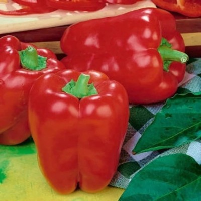 Aywal Bell Pepper - Shimla Mirch Capsicum Red ColorF1 Hybrid Seed(300 per packet)