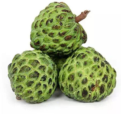 Aywal Custard apple fruit (setaphal) Seed(7 per packet)