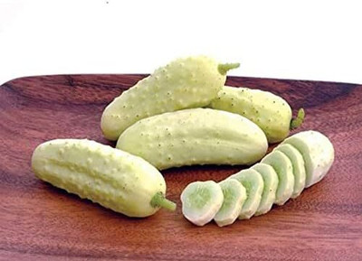 Qualtivate PUAS-7A White Cucumber Pickling Seeds Seed(300 per packet)
