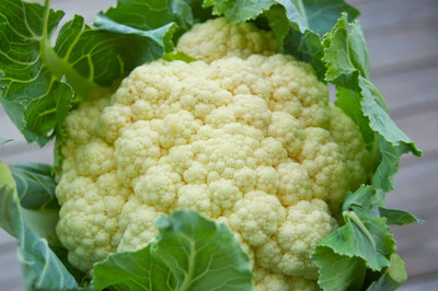 CYBEXIS Pusa Deepali Cauliflower Variety2000 Seeds Seed(2000 per packet)