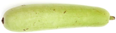 UGRA BOTTLE GOURD LONG SEEDS Seed(120 per packet)