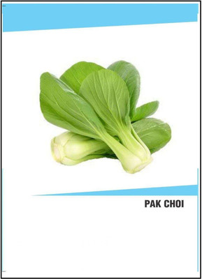 VibeX Hybrid Pak Choi Seeds(2500 Seeds) Seed(2500 per packet)