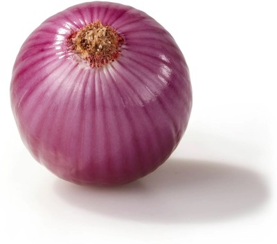 Quentova Red Onion-VIC-6R Seed(250 per packet)