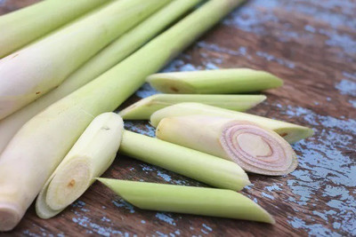 XYGEN लेमन ग्रास/Lemon grass (Cymbopogon citratus) Seed(100 per packet)