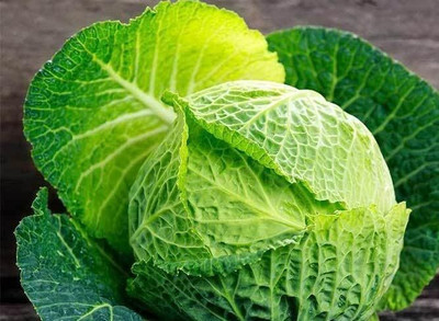 WILLVINE PUAS -XII Cabbage Savoy Perfection [50g] Seed(15000 per packet)