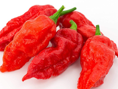 KNESSiN Orange Habanero Chilli Seed(200 per packet)