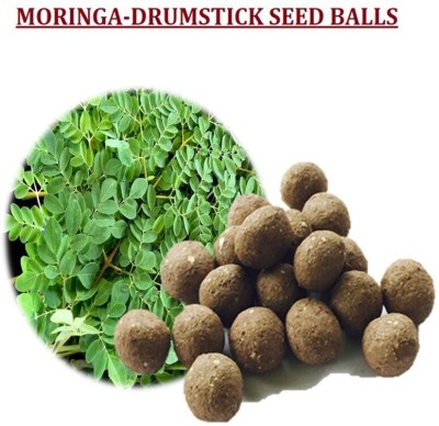 MGBN EASY GROW SEEDBALLS-GROWABLE SEED BALLS OF MORINGA(SAHIJAN/MUNAGA-MORINGA OLEIFERA-DRUMSTICK) (1 GIFT FANCY POTLI BAG PACK OF 10 SEED BALLS) WITH RED AND GREEN AMARANTHUS SEEDS Seed(10 per packet)