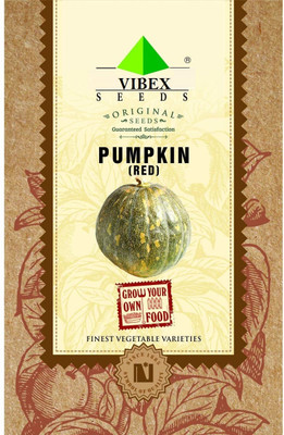 WILLVINE Red Pumpkin Seeds Seed(160 per packet)