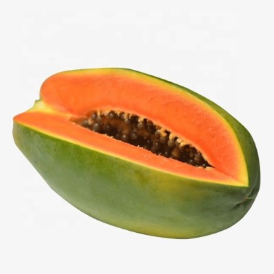 Quentova Organic Extra Large Papaya Seed-NDIR-22B Seed(40 per packet)