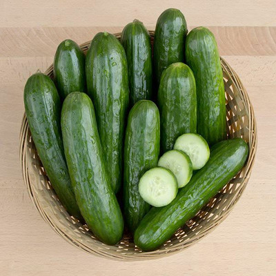 MOTREX MANNY F1 CUCUMBER SEEDS Seed(150 per packet)