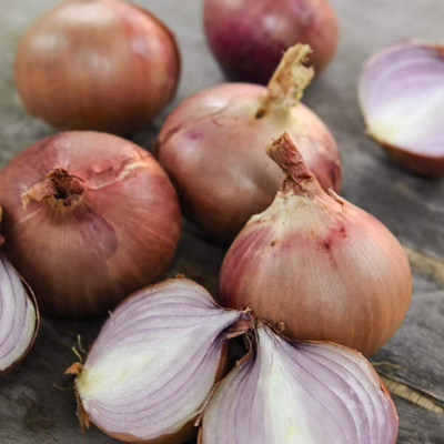 Biosnyg Non GMO Isobel Rose Onion Vegetable Seeds for Garden-(500 Seeds) Seed(500 per packet)