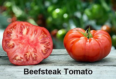 Qualtivate RES-1A Beefsteak Tomato Seed(300 per packet)