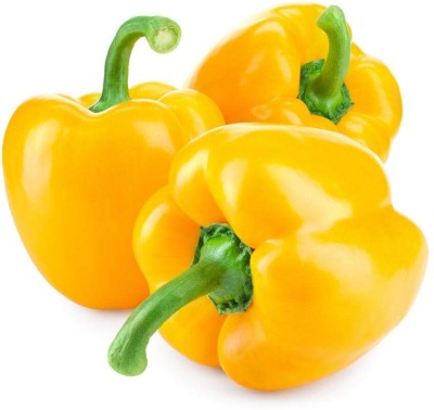 VibeX NBIR-25 - Hybrid Yellow Capsicum - (1350 Seeds) Seed(1350 per packet)