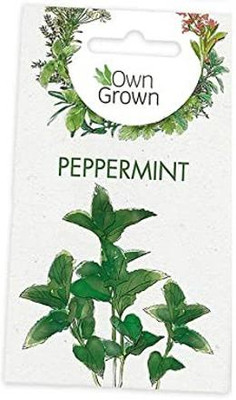 CYBEXIS Peppermint Heirloom Herb Seeds2800 Seeds Seed(2800 per packet)