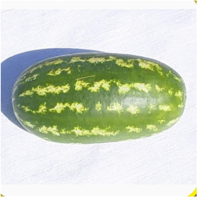 Qualtivate HUA-2A All Sweet Watermelon Seeds Seed(100 per packet)