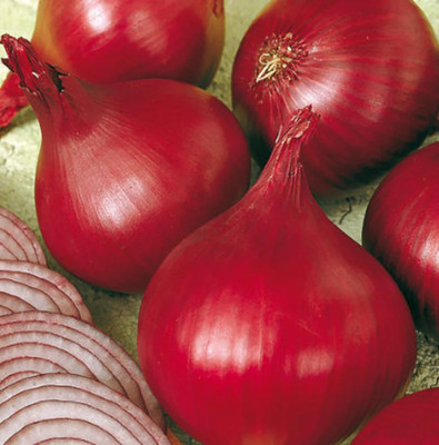 WATIKA Onion - red husk - Red Baron Seed(3000 per packet)
