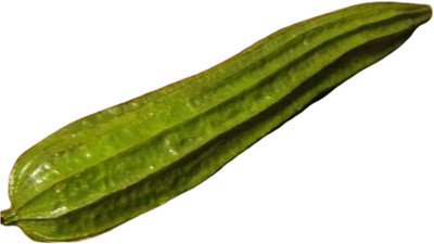 CYBEXIS XL-12 - Angled Gourd/Ridge Gourd - (100 Seeds) Seed(100 per packet)