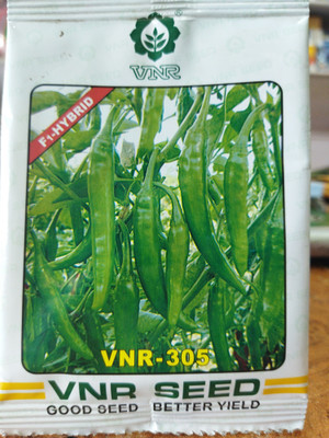 BHUSAN Mirchi Seed(60 per packet)
