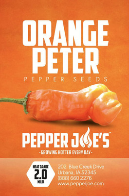 Qualtivate PUA-3A Orange Peter Pepper Chilli Seed(300 per packet)