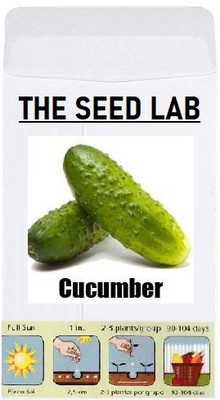 KNESSiN Cucumber Seed(1250 per packet)