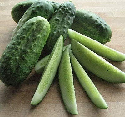 Qualtivate PUAS-7A National Pickling Cucumber Seed(300 per packet)