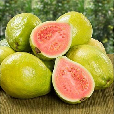 MAA Pear Seed(64 per packet)
