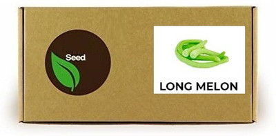 CYBEXIS Long Melon1000 Seeds Seed(1000 per packet)