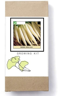 Biosnyg Radish White-[1000 Seeds] Seed(1000 per packet)