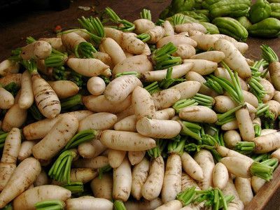 SeedHaven Fresh Hybrid Quality Radish Vegetable Seed(100 per packet)