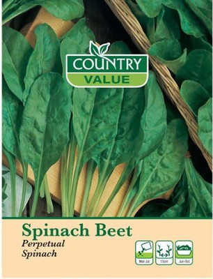 LPR SPINACH , PALAKH Seed(1000 per packet)