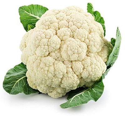 Aywal फूल गोभी Cauliflower Phool Gobhee/Phul Gobhi Seed(150 per packet)