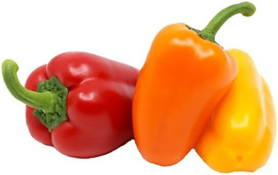 KNESSiN Fast Growing Mini Capsicum Mix Vegetable Seeds For Planting-(300 Seeds) Seed(300 per packet)