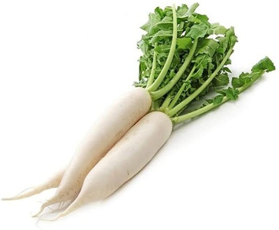 LPR MULI ,WHITE RADISH Seed(40 per packet)