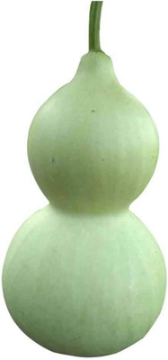 CYBEXIS Mini Gourd Bottle Seeds400 Seeds Seed(400 per packet)