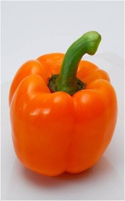 Qualtivate HUA-6A IMPORTED CAPSICUM ORANGE Seed(100 per packet)