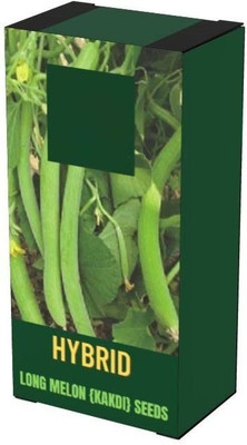 VibeX XLR-57 - Cucumber Kakri - Long Melon - (150 Seeds) Seed(150 per packet)