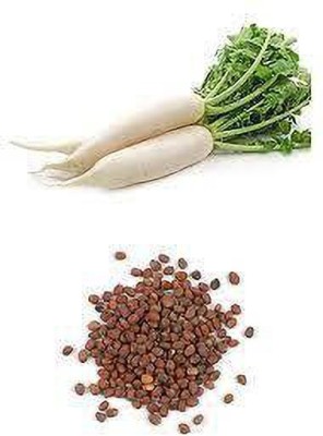 SM Exports Arka Nishant Radish vegetable seeds 100 seeds per pack. Seed(100 per packet)