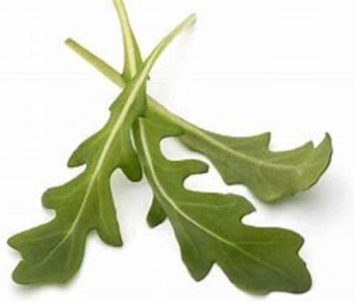 CYBEXIS PAU-28 - Speedy Arugula - (750 Seeds) Seed(750 per packet)