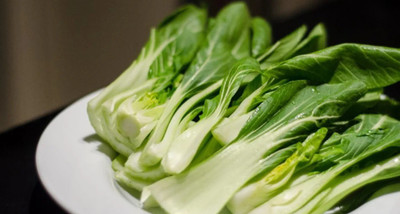 Atlus Pak Choi | Cantong White | Open Pollinated, Non GMO Seed(80 per packet)