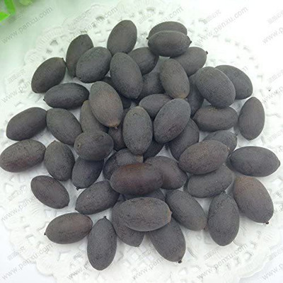 CYBEXIS VXI-36 - Lotus Water Lily Flower Plant - (30 Seeds) Seed(30 per packet)