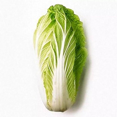 Dbbrothers Chinese Lettuce Seeds Pack of 23 Seed(23 per packet)