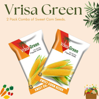 Vrisa Green Sweet Corn Seeds for a Delicious and Bountiful Harvest Seed(2 per packet)