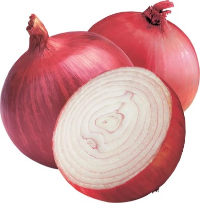 WATIKA Nasik Super Red Onion Seed(500 per packet)