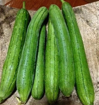 Quentova Smooth Luffa, the sponge gourd-VOX-4T Seed(100 per packet)